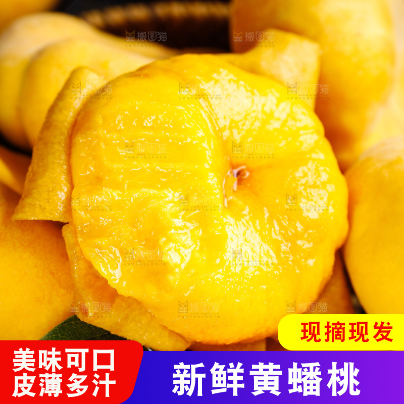深底上的黄毛蟠桃