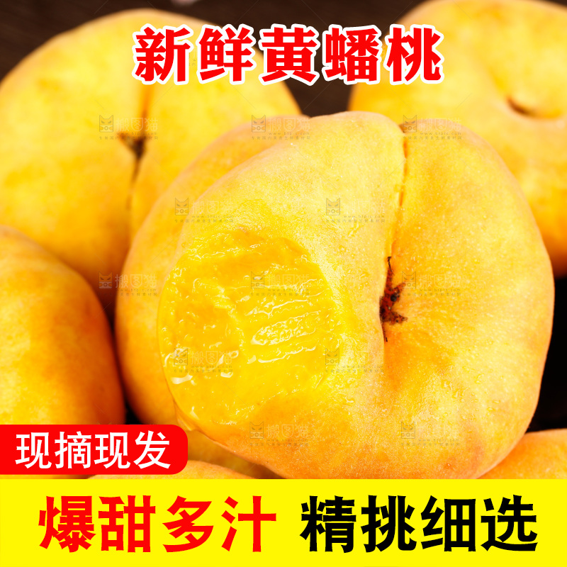 深底上的黄毛蟠桃