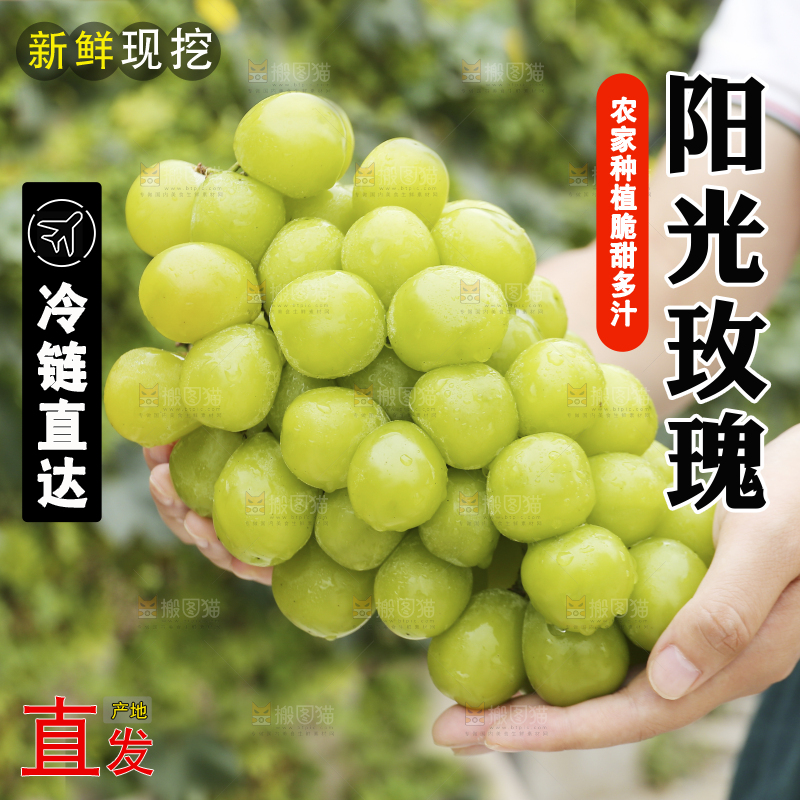 手里拿着阳光玫瑰