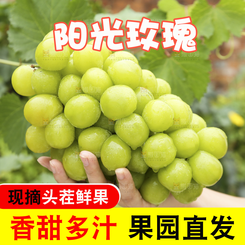 手里拿着阳光玫瑰