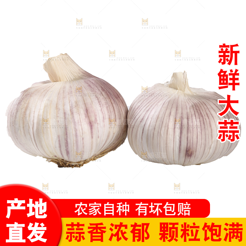 白底上的干蒜
