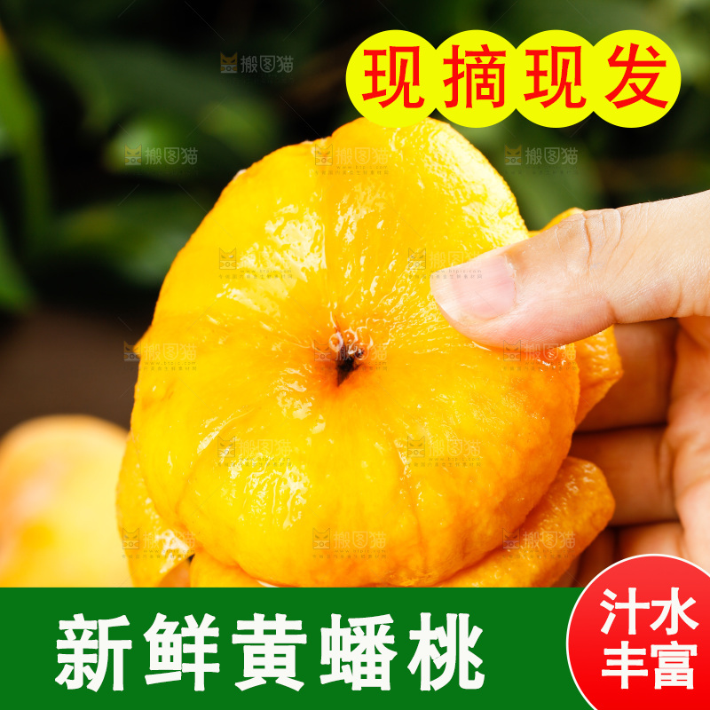 深底上的黄毛蟠桃