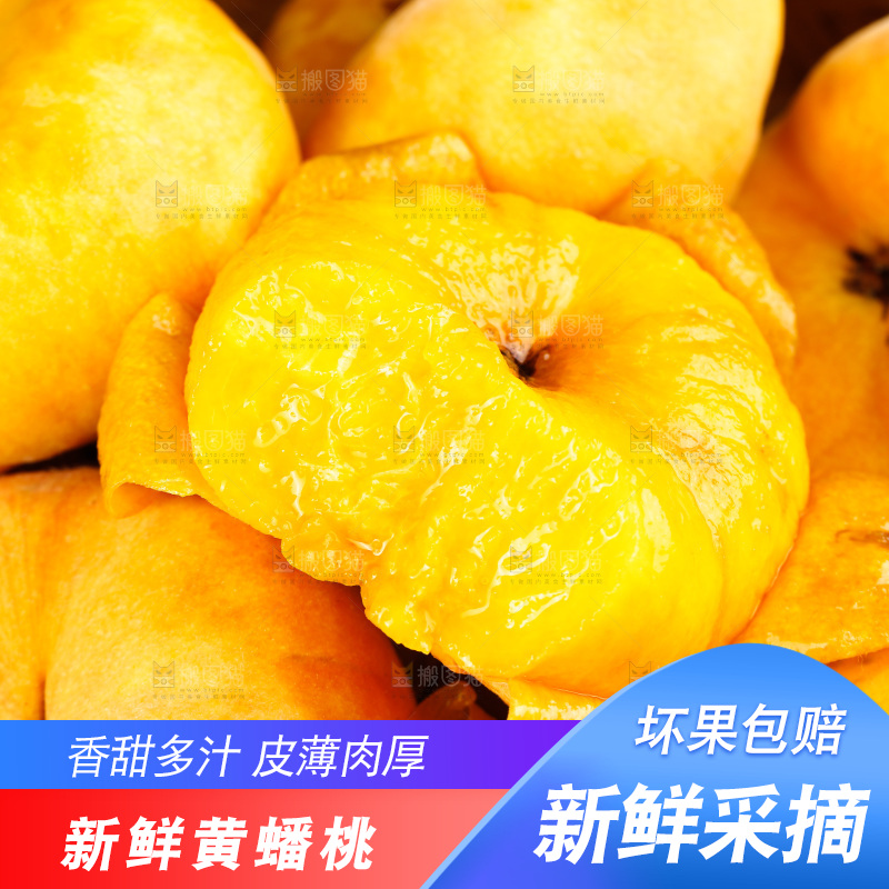 深底上的黄毛蟠桃
