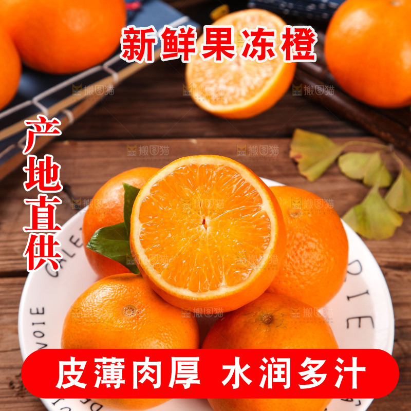 深木底上的爱媛38号