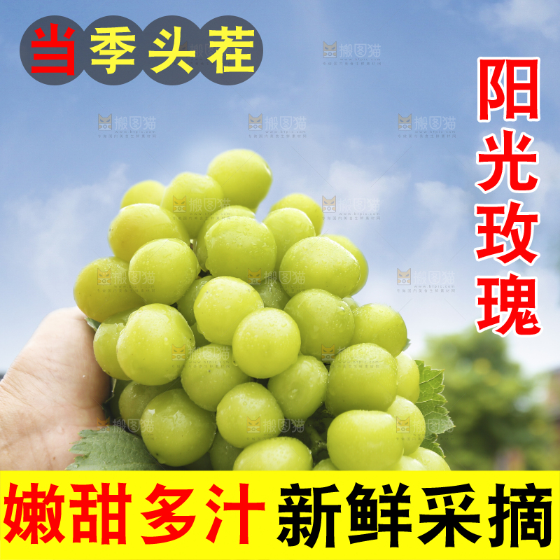 手里拿着阳光玫瑰