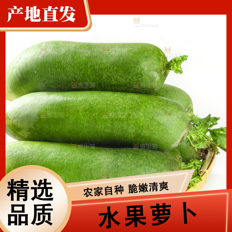 白底上的水果萝卜