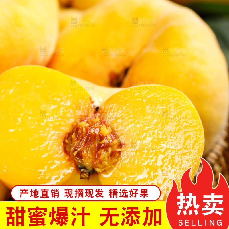 深底上的黄毛蟠桃