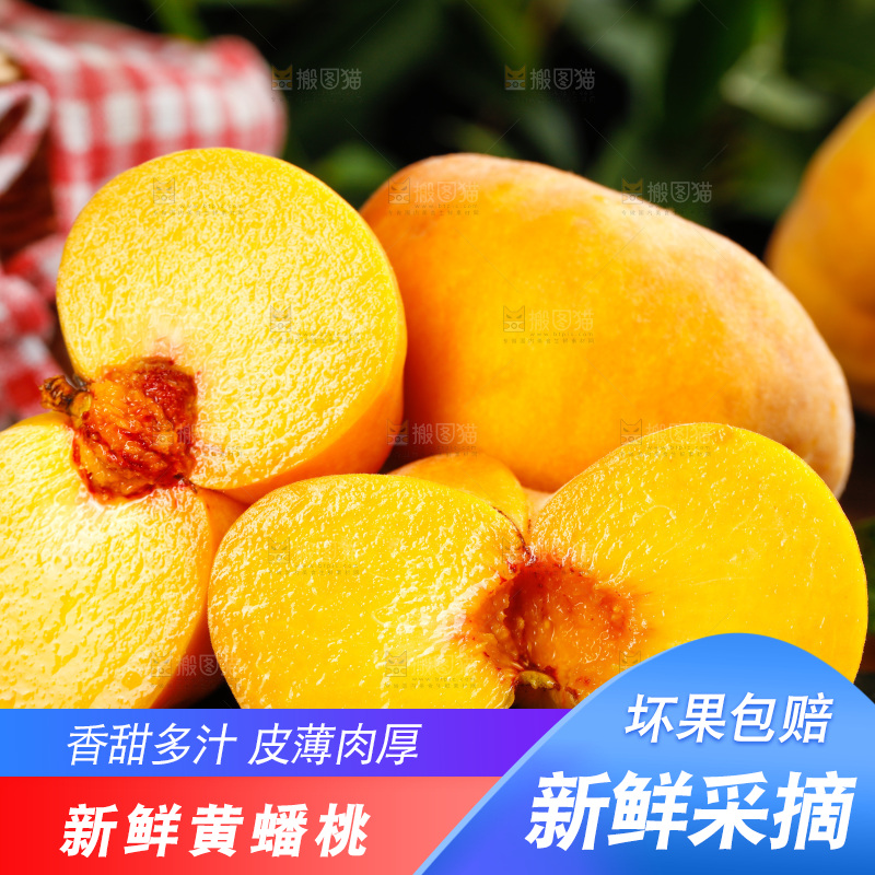 深底上的黄毛蟠桃