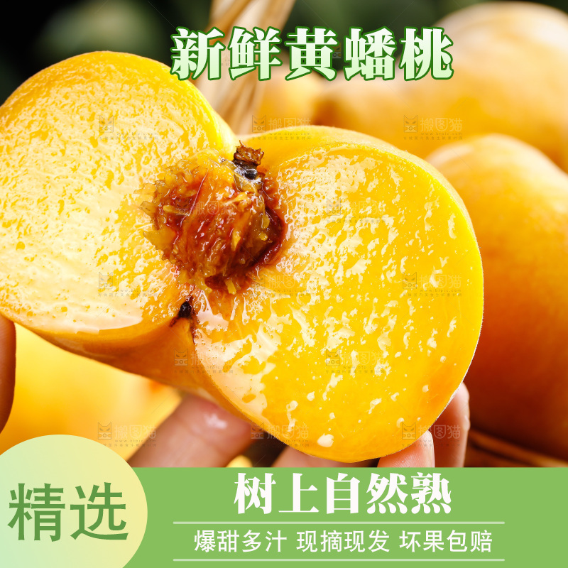 深底上的黄毛蟠桃
