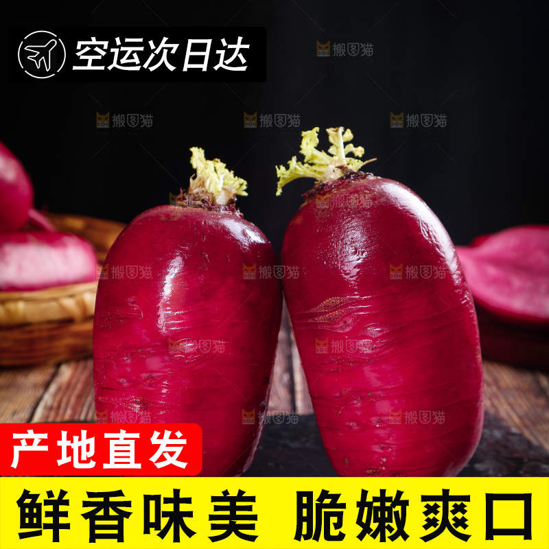 木底上的紫美人萝卜