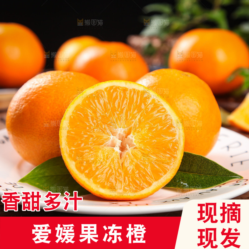 深木底上的爱媛38号