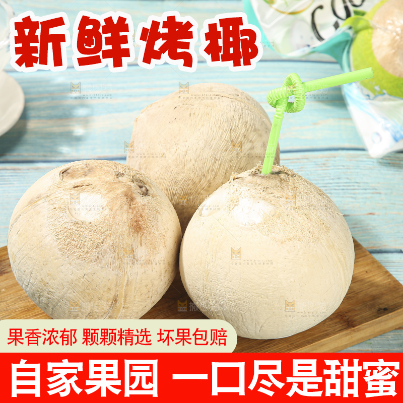 浅底上的泰国进口烤椰