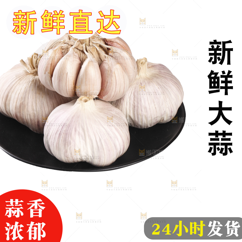 白底上的干蒜
