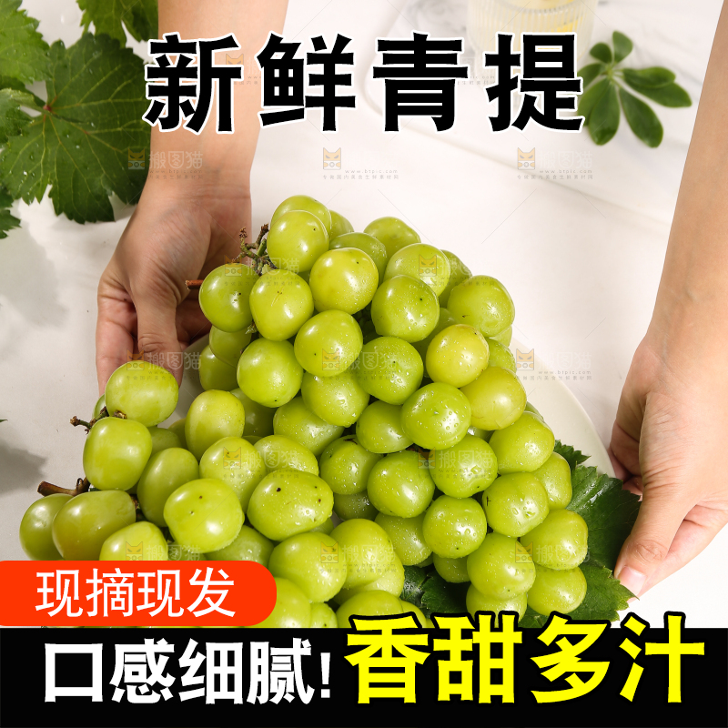 浅底上的晴王香印青提