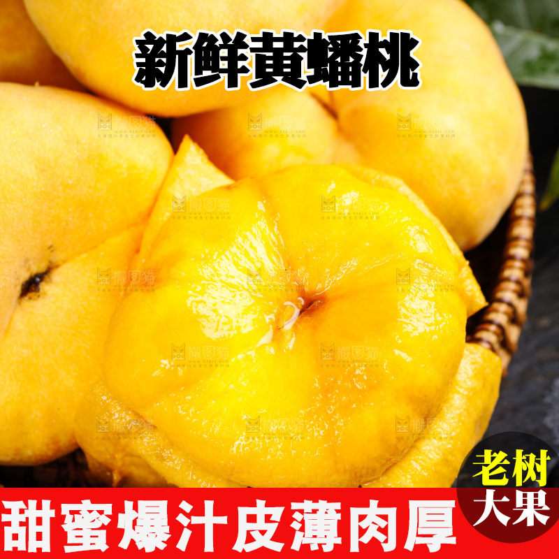 深底上的黄毛蟠桃