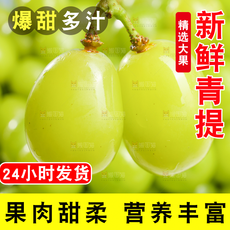 浅底上的晴王香印青提