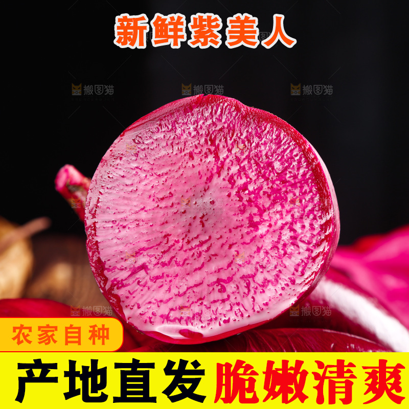 木底上的紫美人萝卜