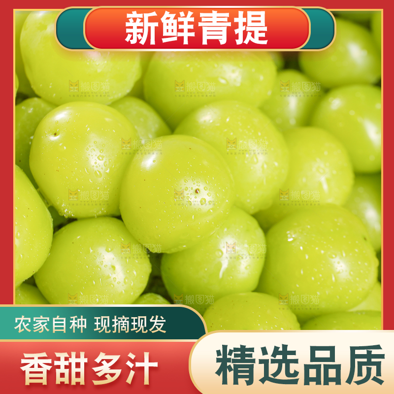 浅底上的晴王香印青提