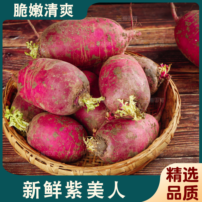 木底上的紫美人萝卜