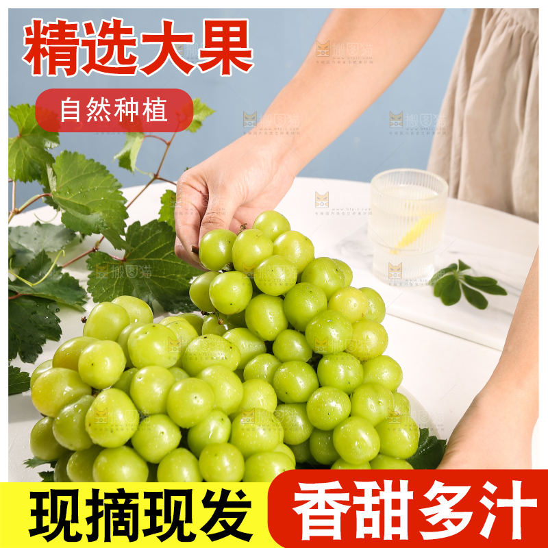 浅底上的晴王香印青提