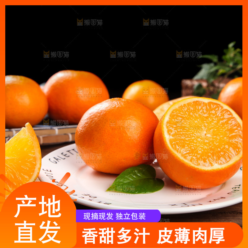 深木底上的爱媛38号
