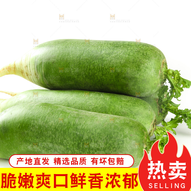 白底上的水果萝卜