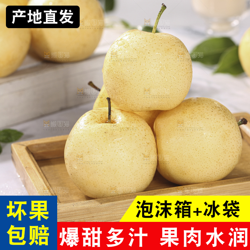 浅底上的皇冠梨