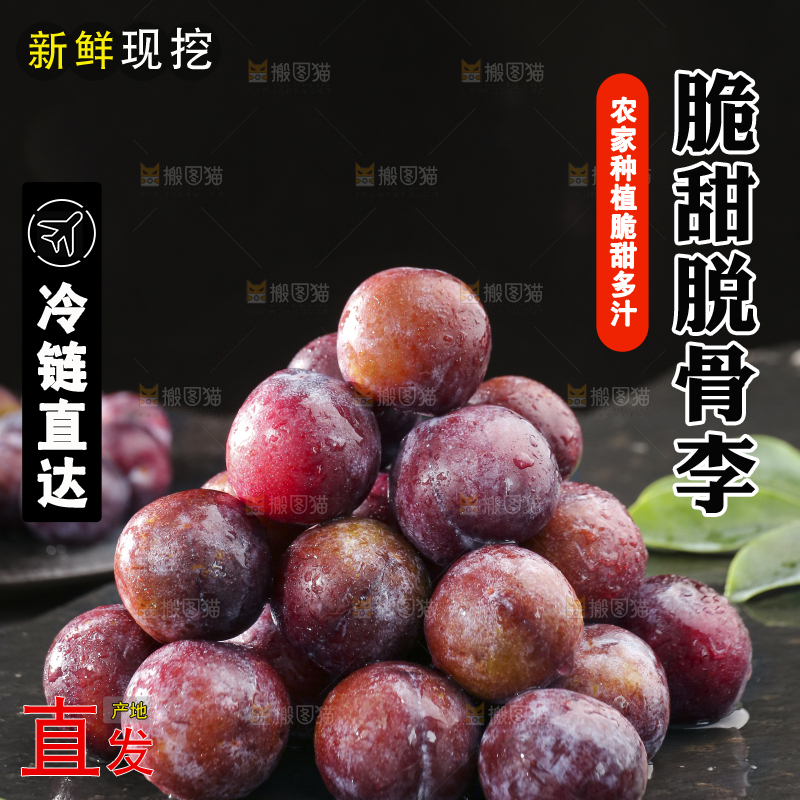 深底上放着脱骨李