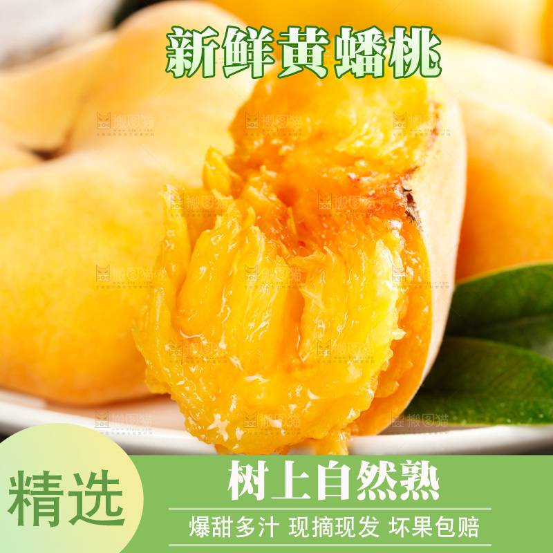深底上的黄毛蟠桃