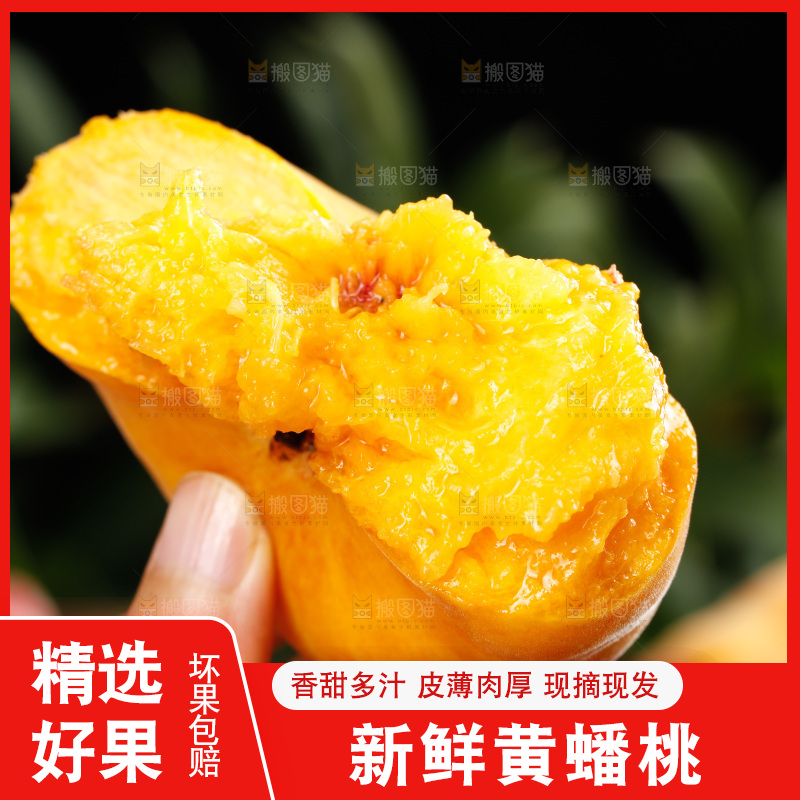 深底上的黄毛蟠桃