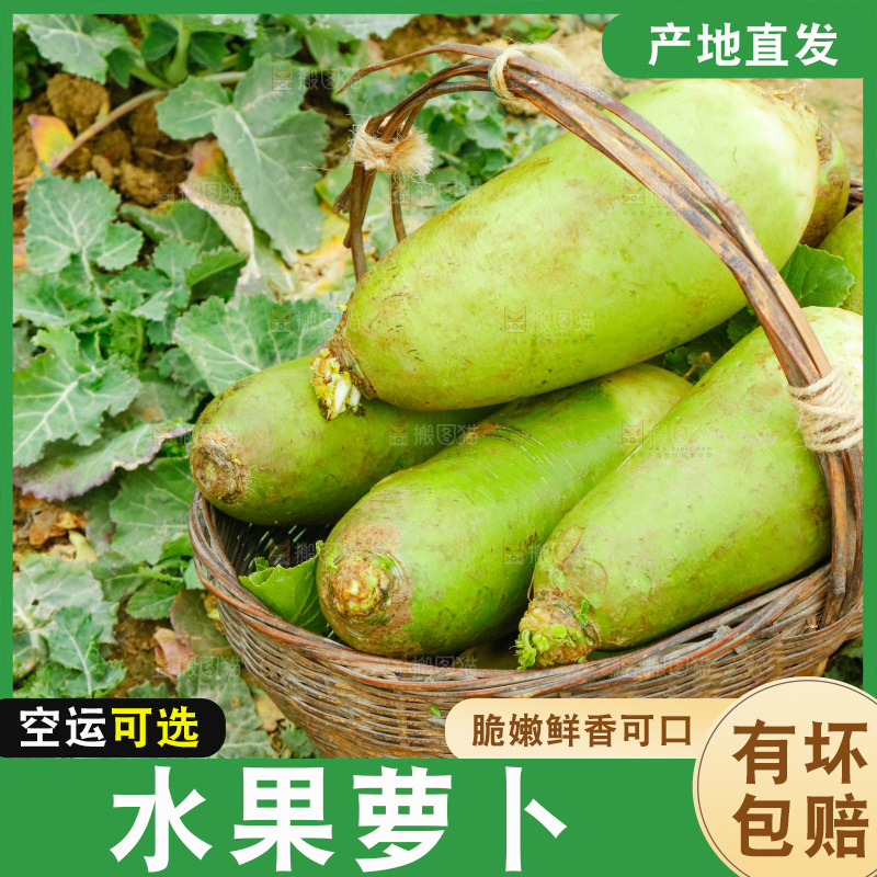 手里拿着水果萝卜