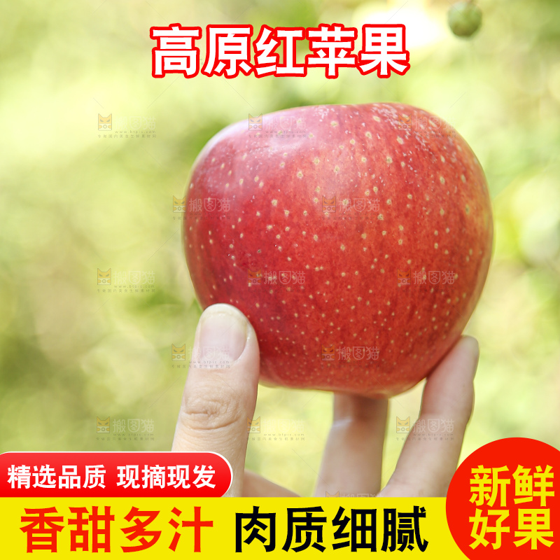 手里拿着高原红苹果