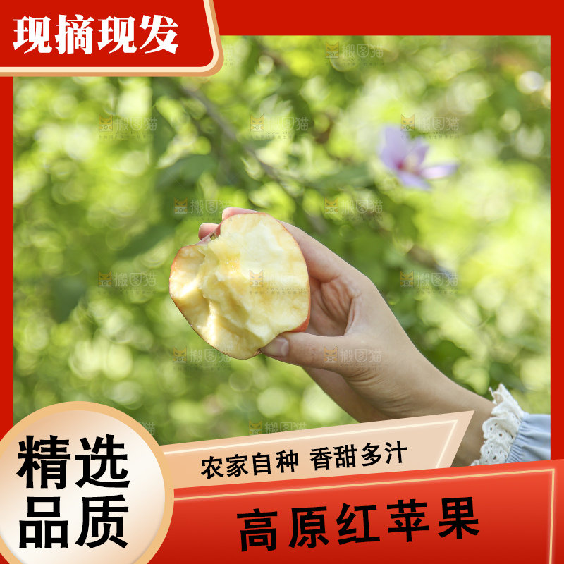 手里拿着高原红苹果