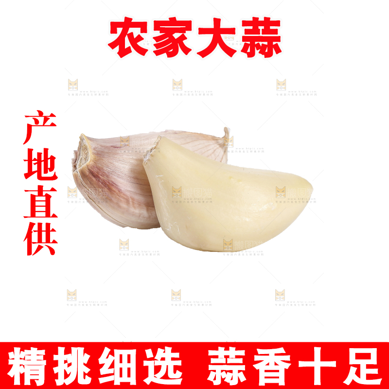 白底上的干蒜