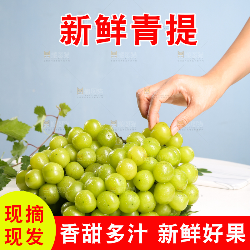 浅底上的晴王香印青提