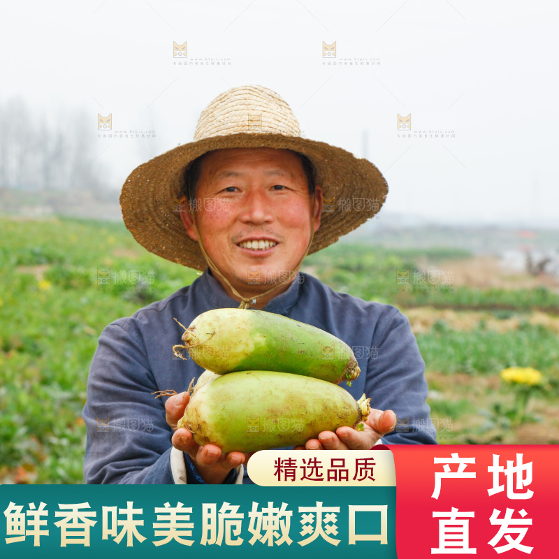 手里拿着水果萝卜