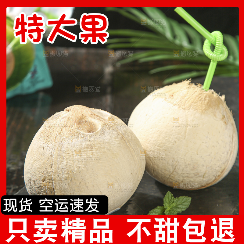 深底上的泰国进口烤椰