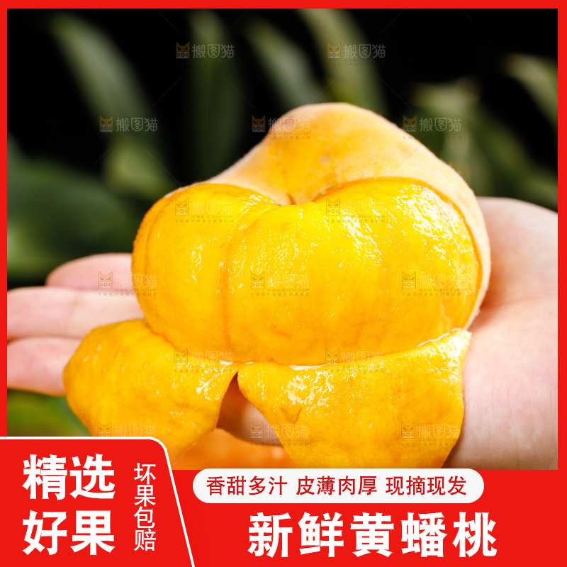 深底上的黄毛蟠桃