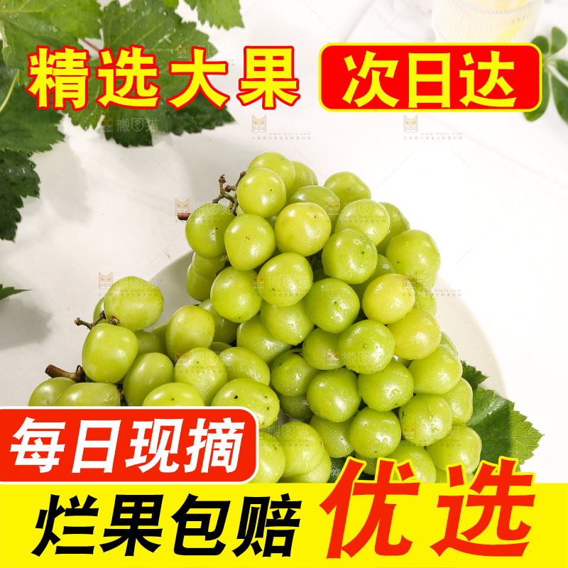 浅底上的晴王香印青提