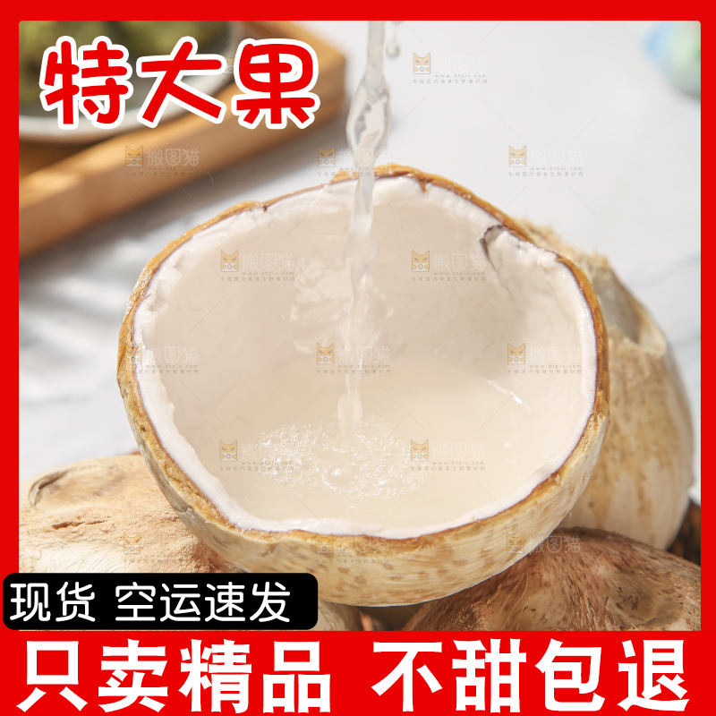 浅底上的泰国进口烤椰