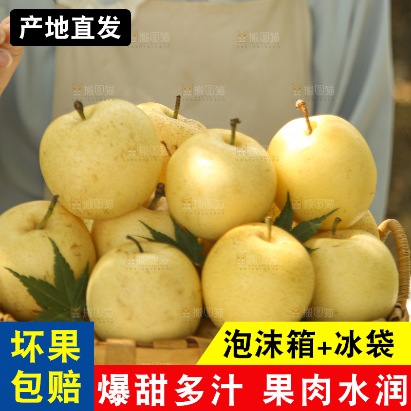 手里拿着新鲜皇冠梨