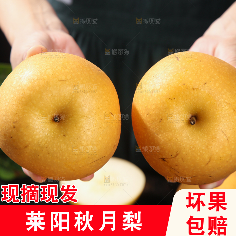 深底上放着的秋月梨