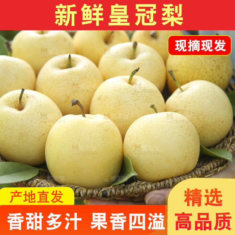 手里拿着新鲜皇冠梨