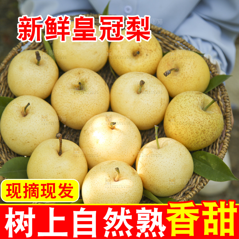手里拿着新鲜皇冠梨