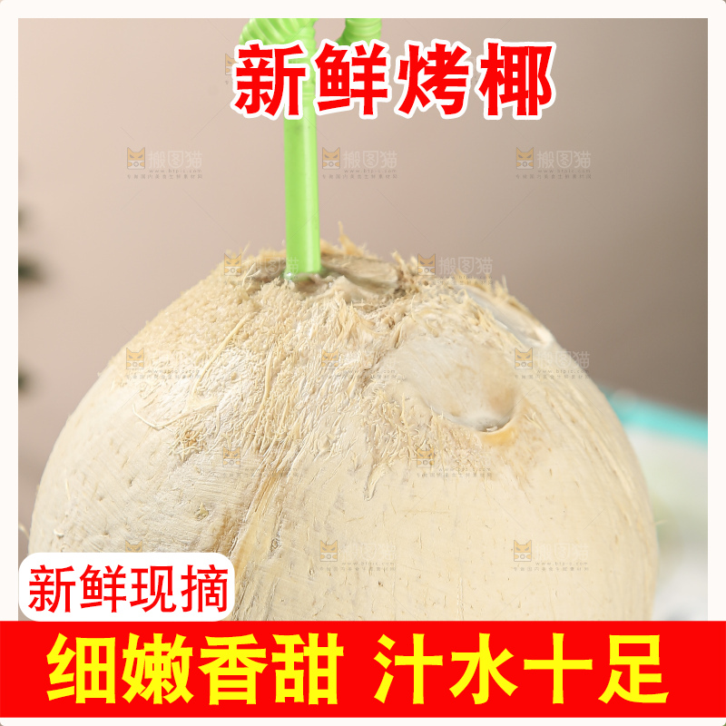 浅底上的泰国进口烤椰