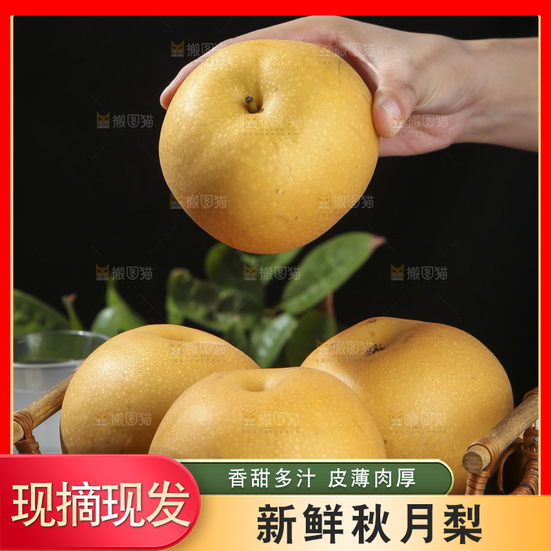 深底上放着的秋月梨