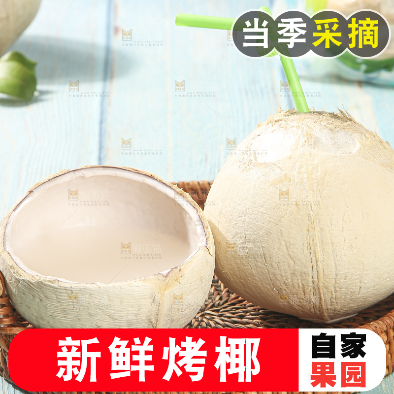 浅底上的泰国进口烤椰