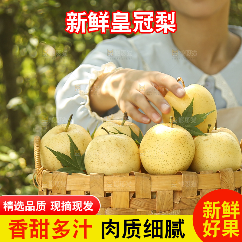 手里拿着新鲜皇冠梨