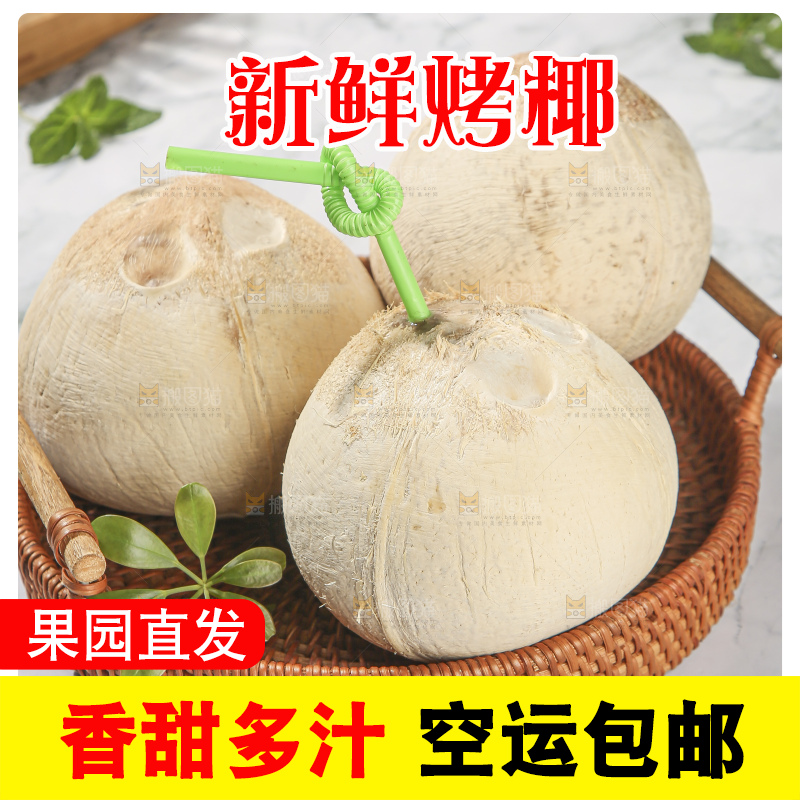 浅底上的泰国进口烤椰