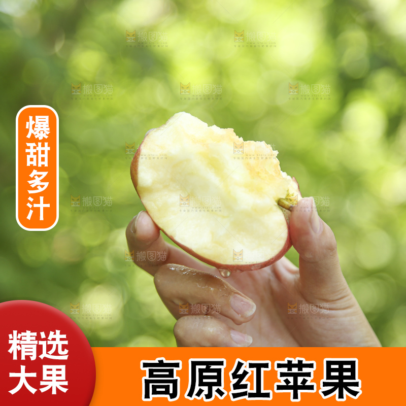 手里拿着高原红苹果